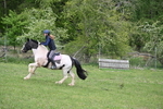 WJ6_3478
