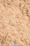 230813A-115510-12167