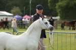 SBM_00474