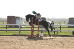 SBM_003380