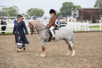 SBM_21799