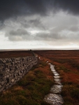 Barden Moor