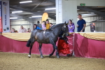 SBM_15811