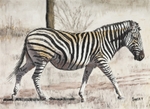 Zebra Charcoal
