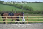 BPP_3309