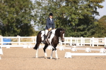 SBM_01907