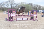 BPP_1558