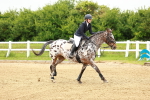 SBM_000689