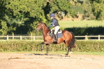 SBM_15383