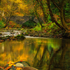 Autumn At Ivy Bridge