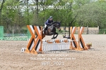 CLASS 5 FRI Veterans Show Jumping portfolio