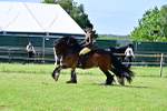 SBM_09330