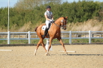 SBM_002206