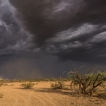 Haboob