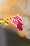 20120318-_MG_9420
