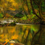 Autumn At Ivy Bridge