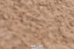 240121A-100330-00337