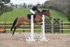 BPP_5781