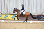 SBM_001772