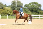 SBM_002007