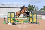 BPP_6519