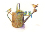 Blue tit and Watering can