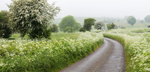 Bonsall Moor