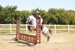 SBM_002329
