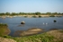 20110422-IMG_1591
