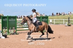BPP_1566