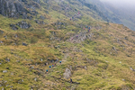 Peris Horseshoe-631