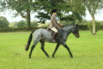 SBM_62589
