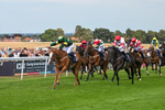 130825-Race 4-Rock Of England-1236