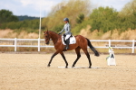 SBM_011928