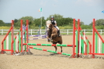 SBM_011677