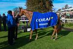 141023-Race 3-Montassib-8942