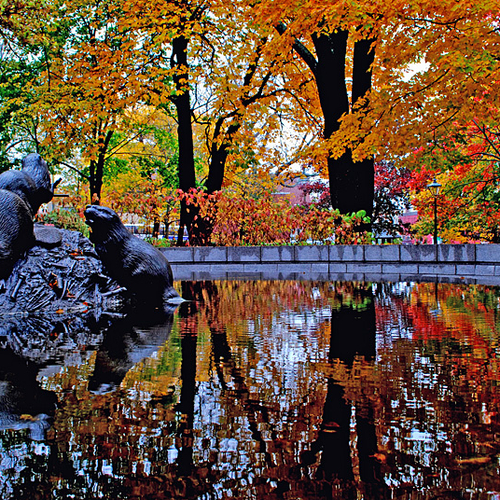 Autumn Reflections on The Beaver Pond, a creation by British sculptor
Michael Rizzello, O.B.E. and located with Ol…