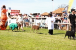 SBM_08313