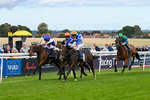 160926-Race 2-Northern Viola-9712
