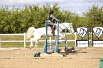 SBM_003150