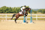 SBM_000784