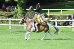 SBM_47098