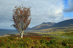 Loch na Keal, Mull, Argyll