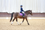 SBM_000353