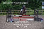 BPP_9308