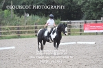 BPP_6191