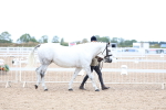 SBM_05684