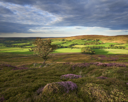Recent Photographs portfolio