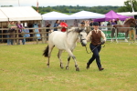 SBM_04062