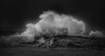 DSCF7692